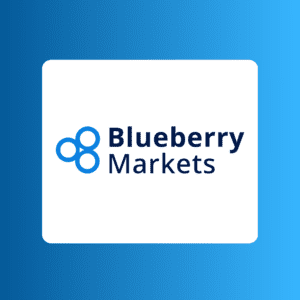 blueberry markets logo
